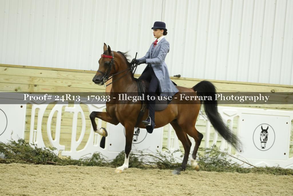 Proof 24R13_17933