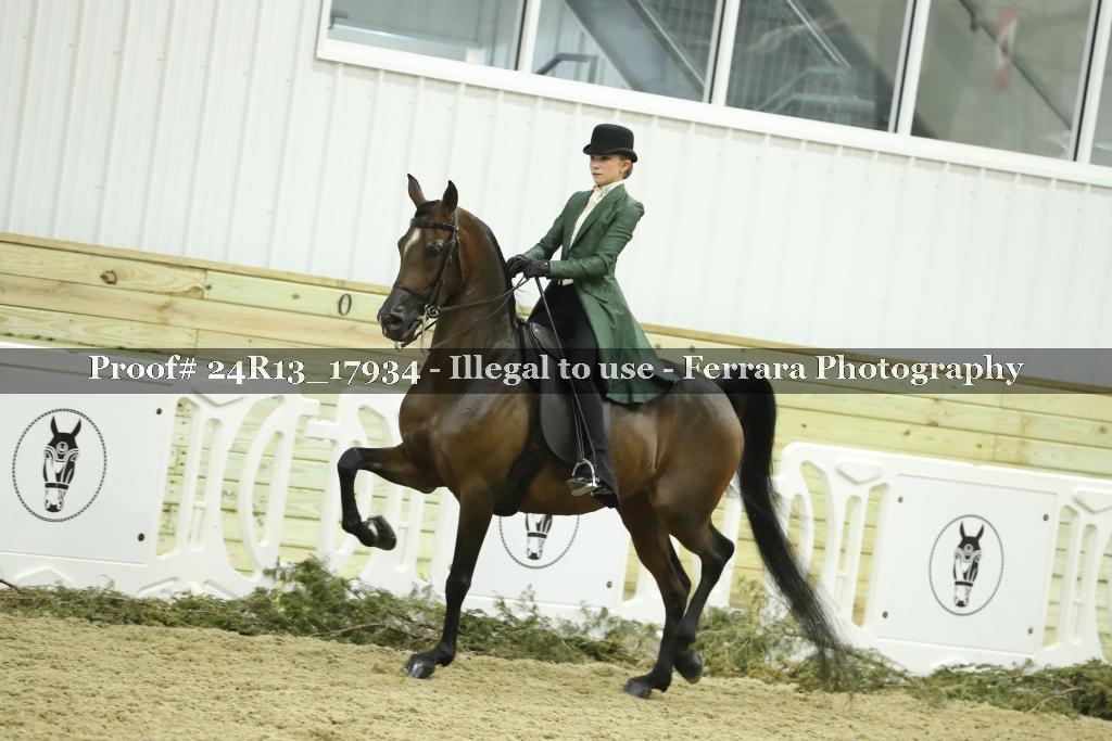 Proof 24R13_17934