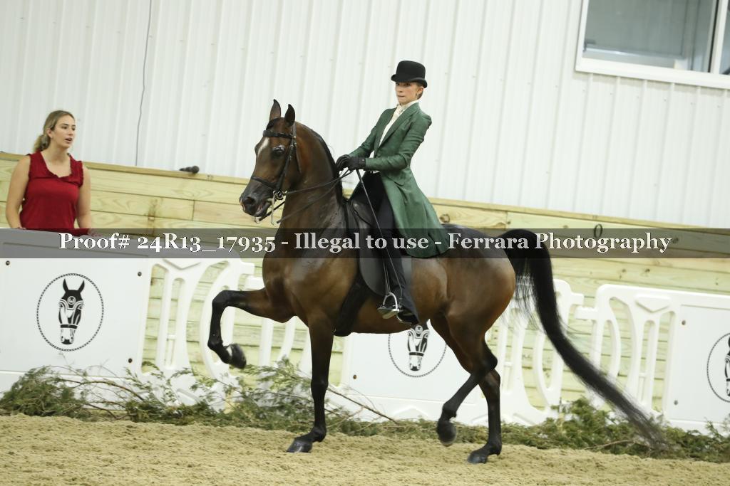 Proof 24R13_17935