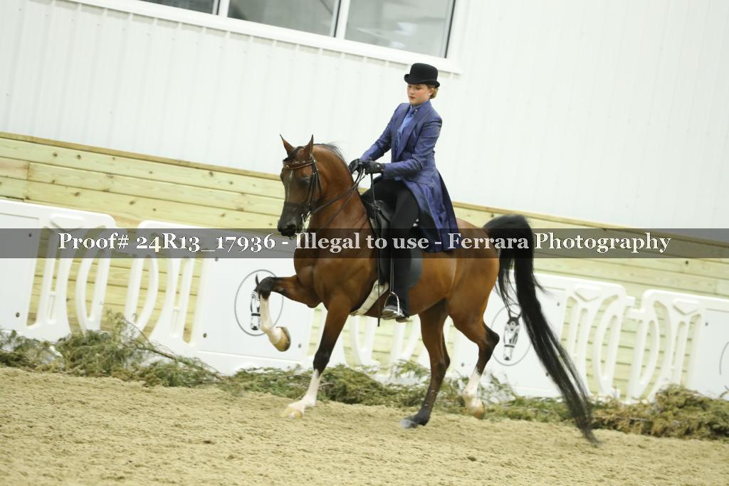 Proof 24R13_17936