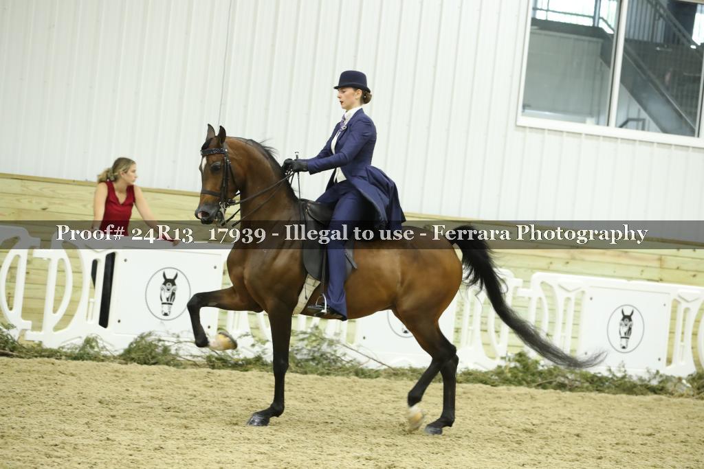 Proof 24R13_17939