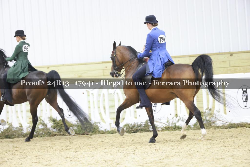 Proof 24R13_17941