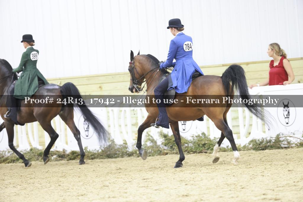 Proof 24R13_17942