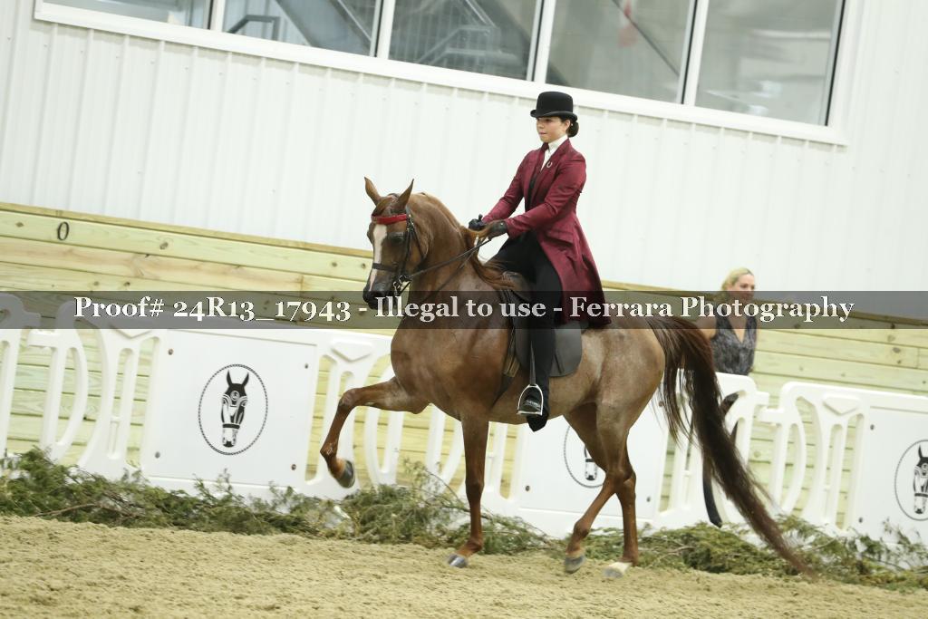Proof 24R13_17943