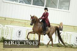 24R13_17943 proof