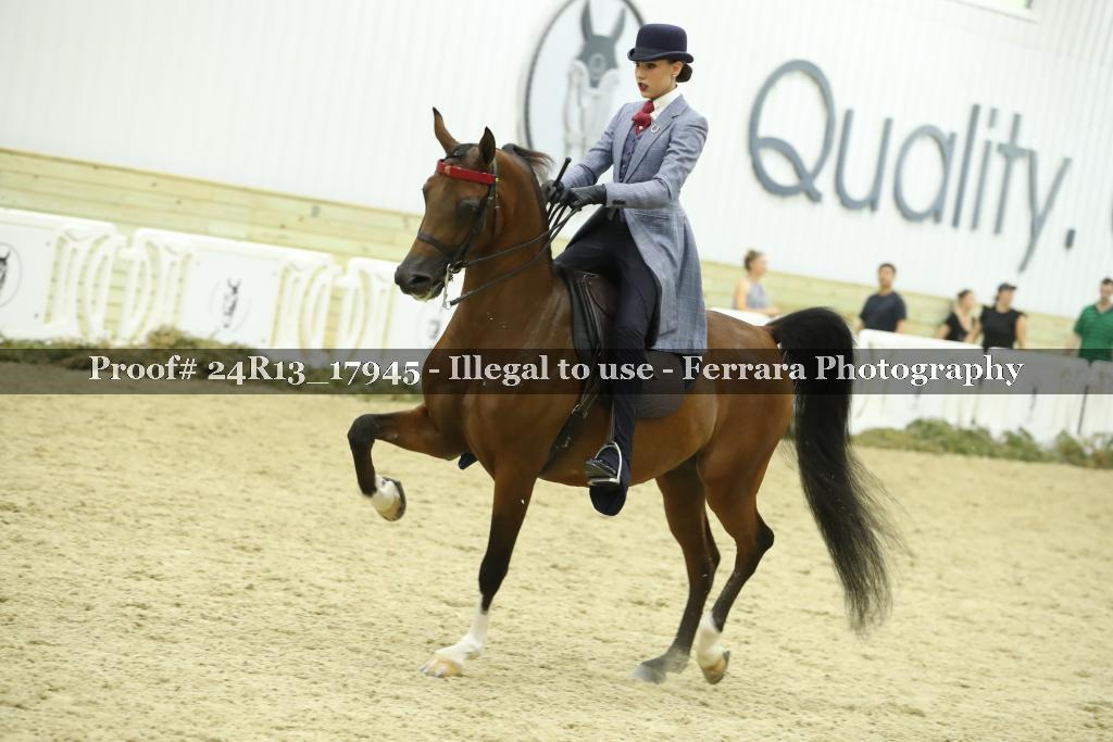 Proof 24R13_17945
