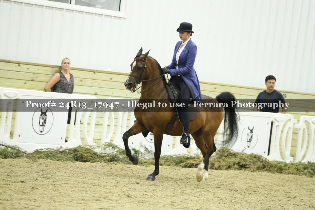 Proof 24R13_17947