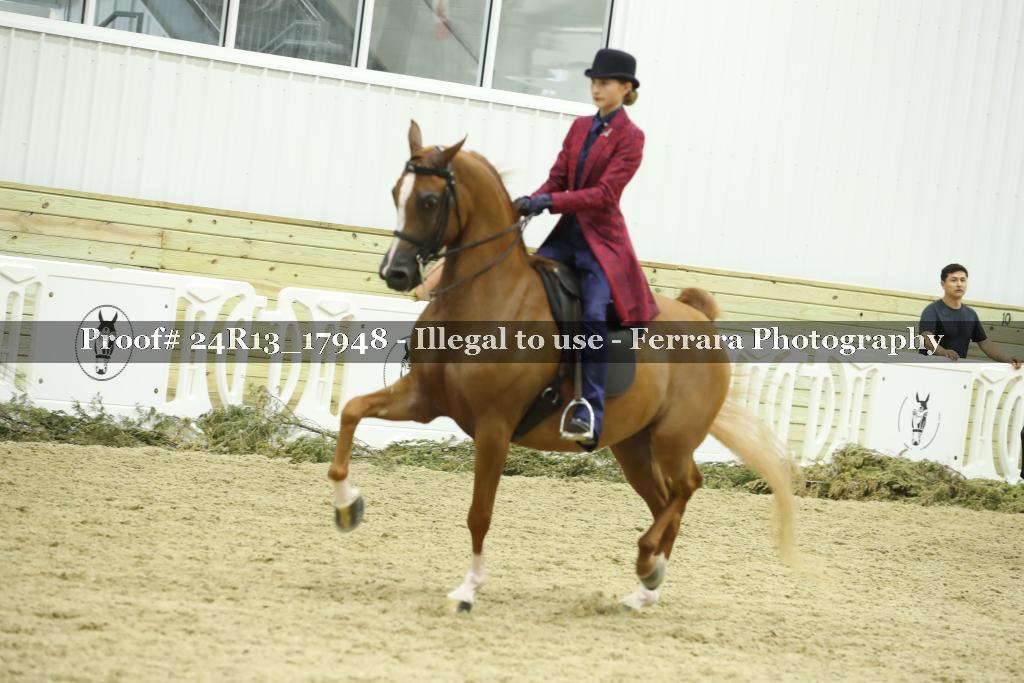 Proof 24R13_17948