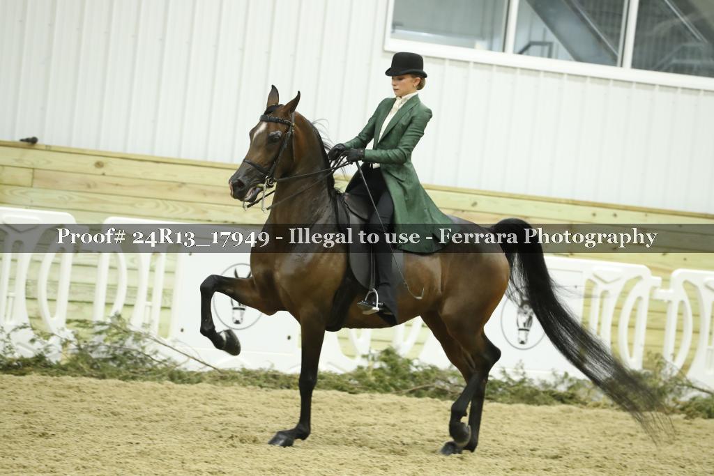 Proof 24R13_17949