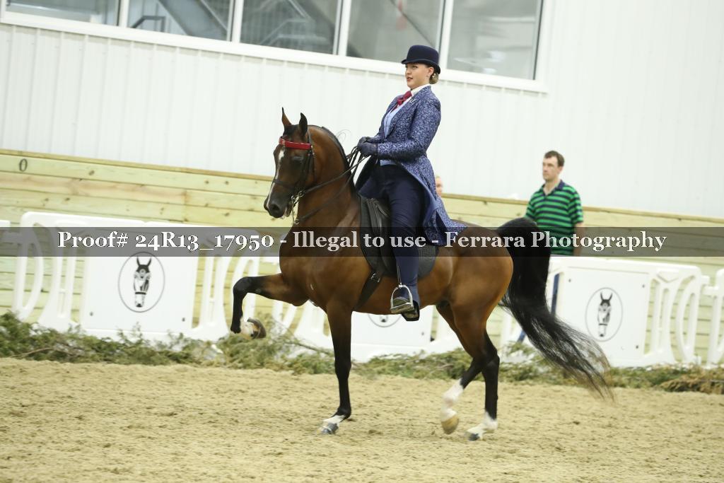 Proof 24R13_17950