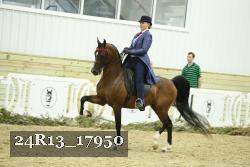 24R13_17950 proof
