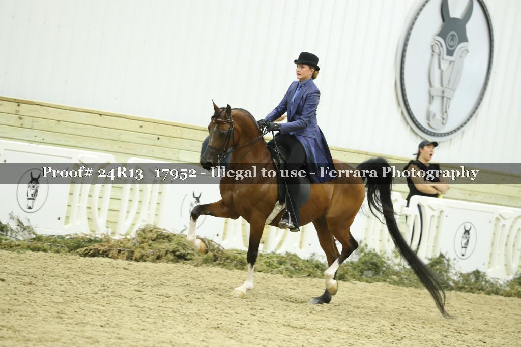 Proof 24R13_17952