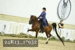 24R13_17952 proof