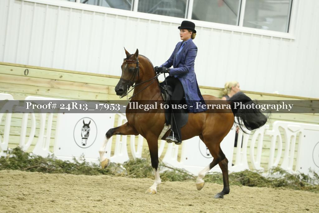 Proof 24R13_17953