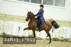 24R13_17953 proof