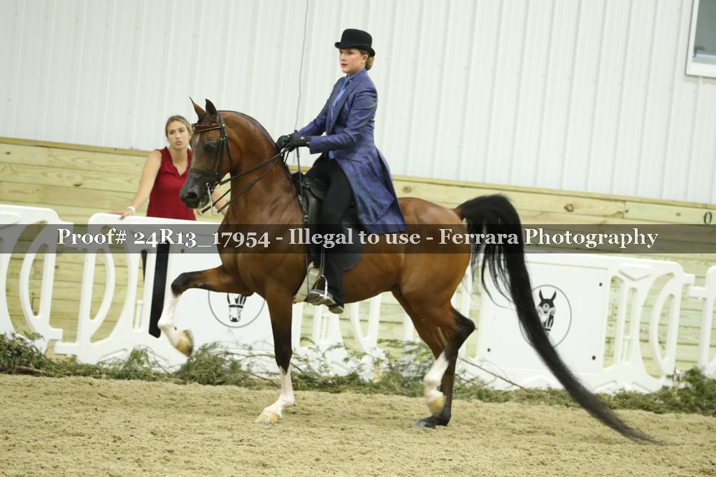 Proof 24R13_17954