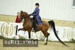 24R13_17954 proof