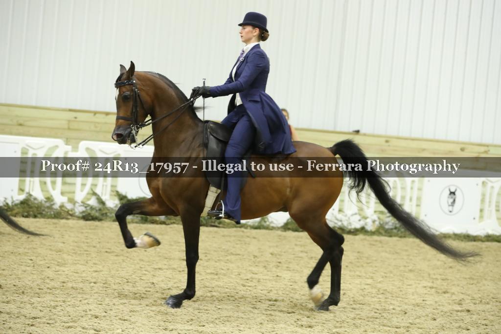 Proof 24R13_17957