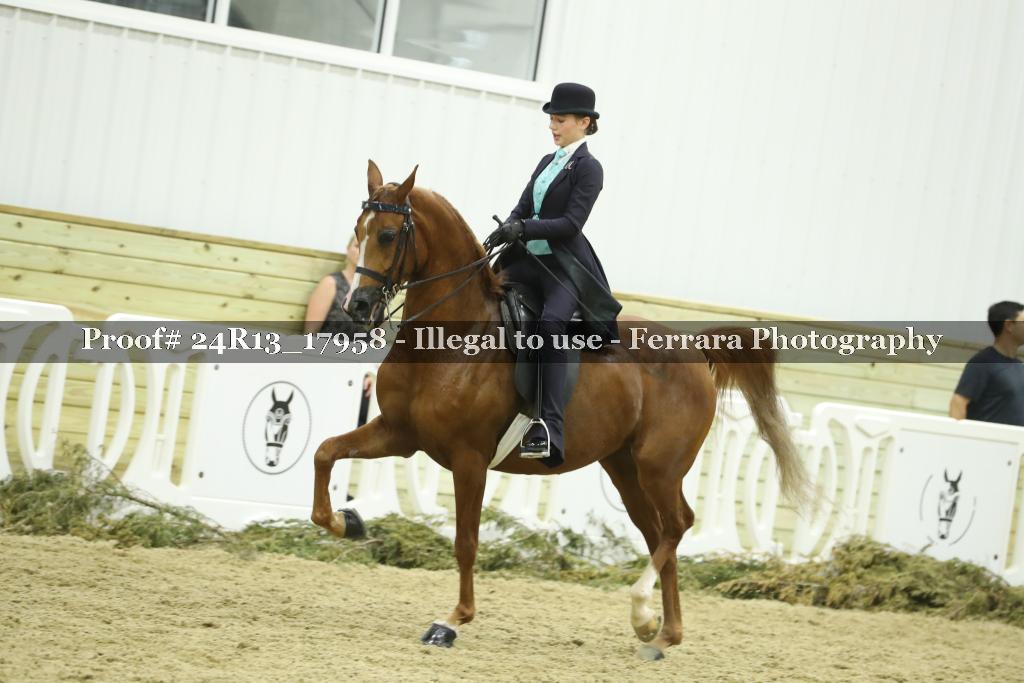 Proof 24R13_17958