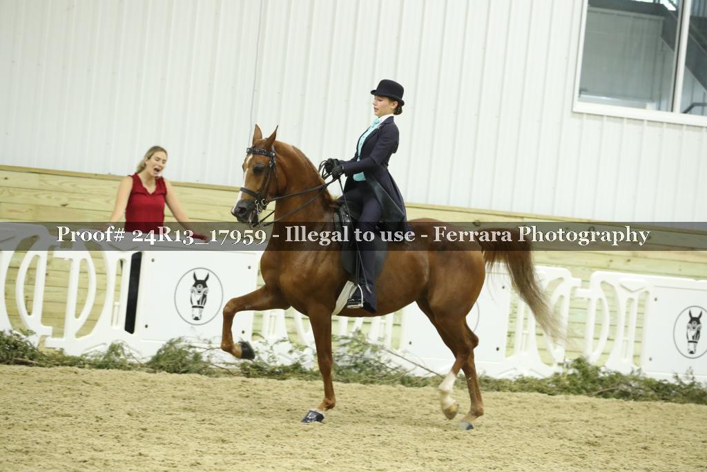 Proof 24R13_17959