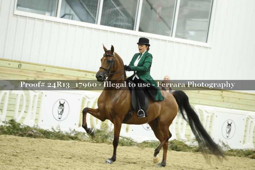 Proof 24R13_17960