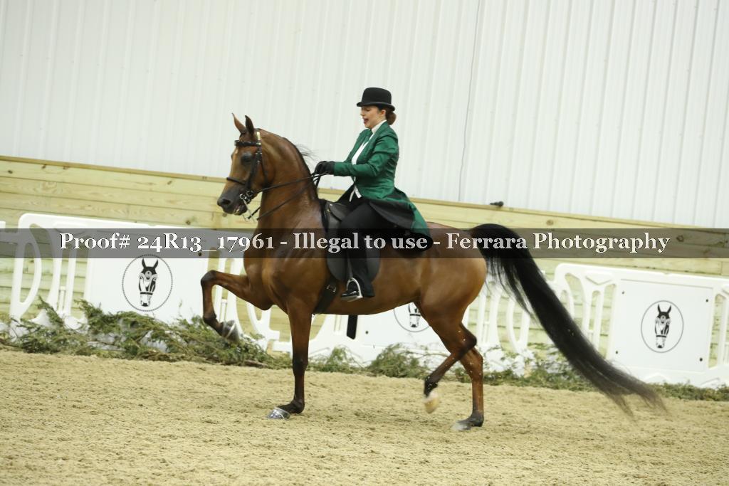 Proof 24R13_17961