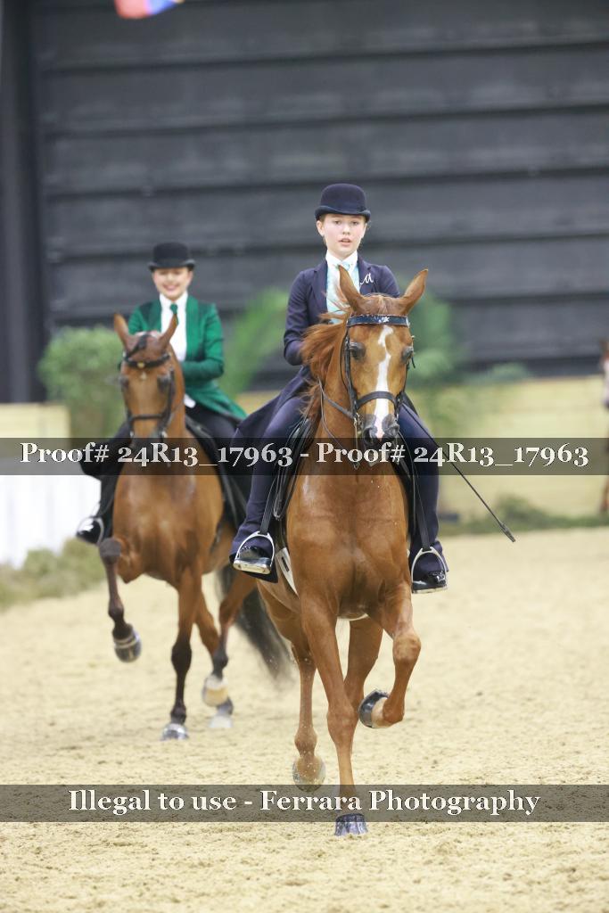 Proof 24R13_17963
