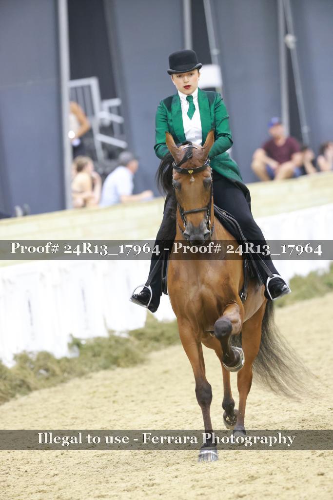 Proof 24R13_17964