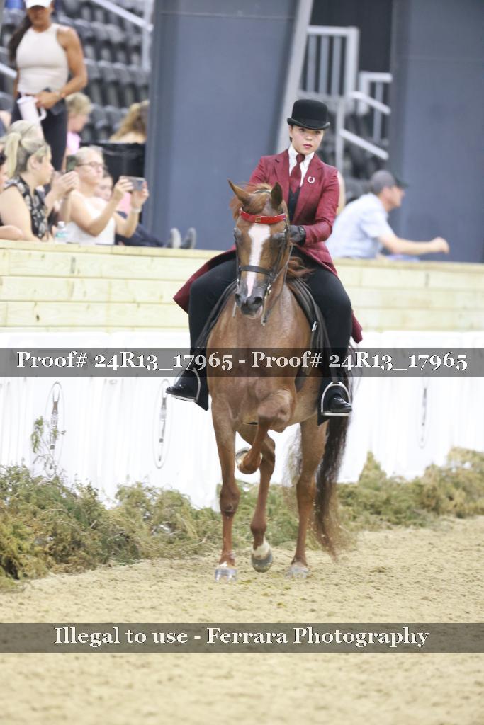 Proof 24R13_17965