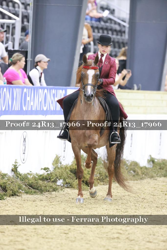 Proof 24R13_17966