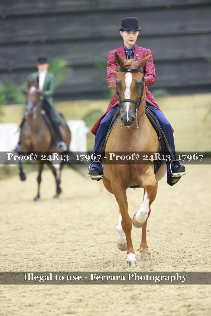 Proof 24R13_17967