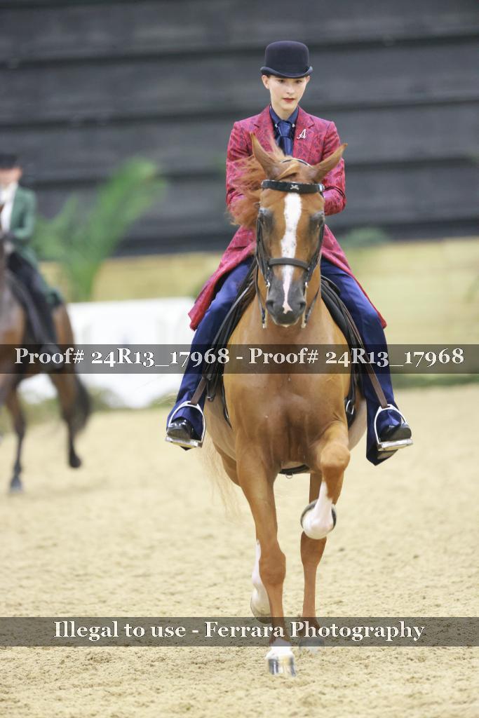 Proof 24R13_17968