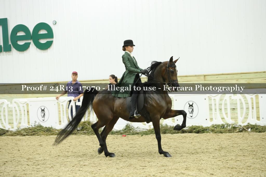 Proof 24R13_17970