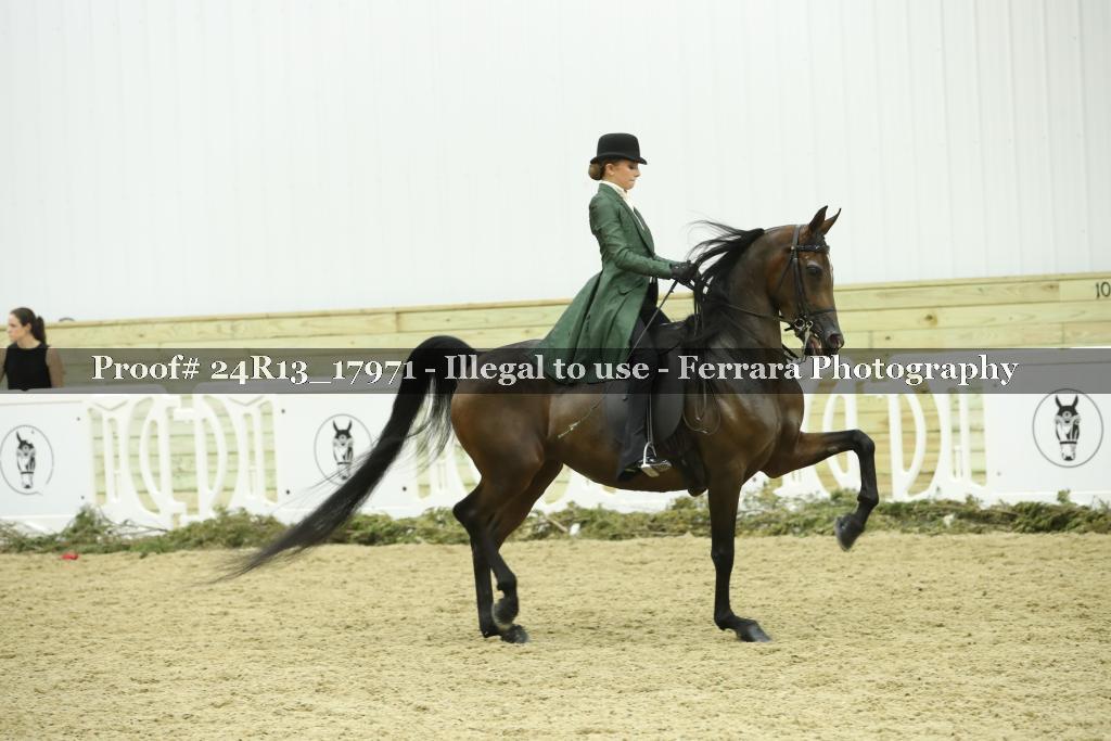 Proof 24R13_17971