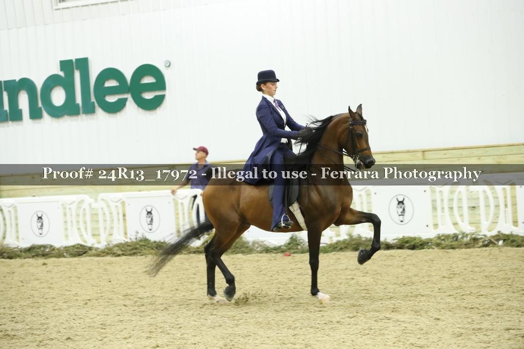 Proof 24R13_17972