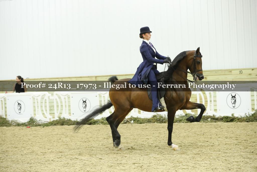 Proof 24R13_17973