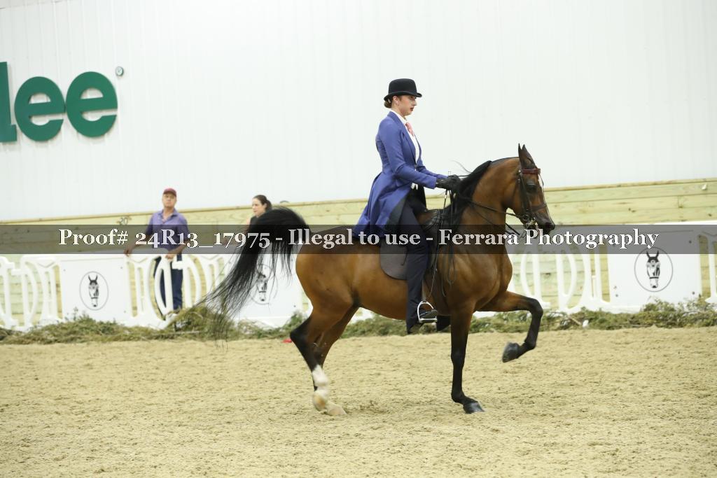Proof 24R13_17975