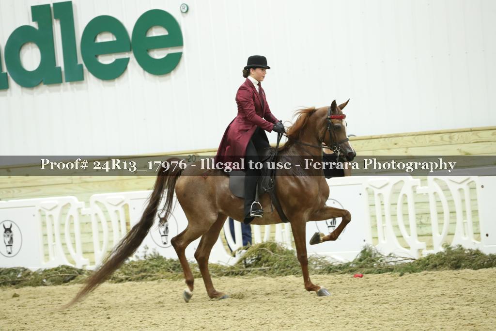 Proof 24R13_17976