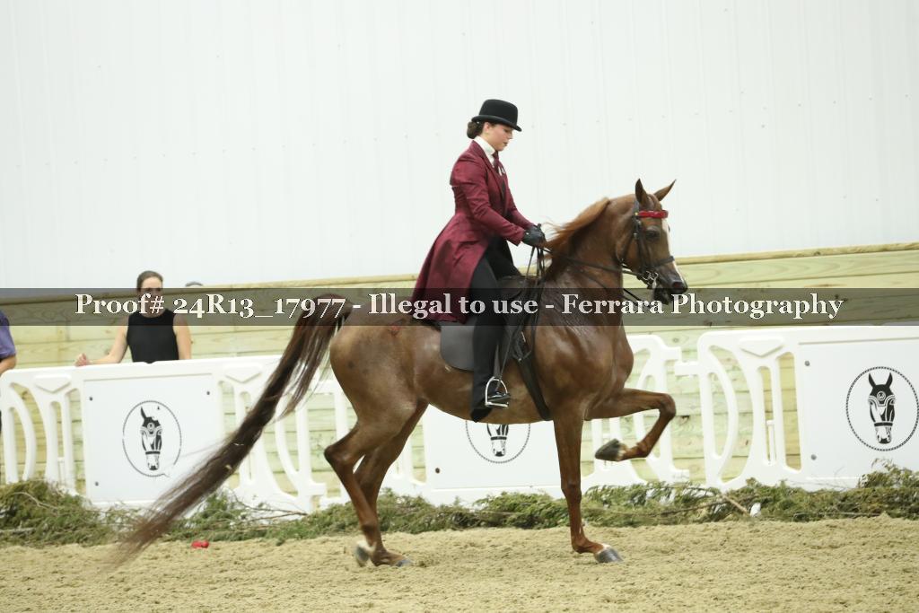 Proof 24R13_17977