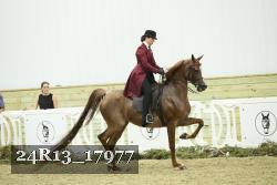 24R13_17977 proof