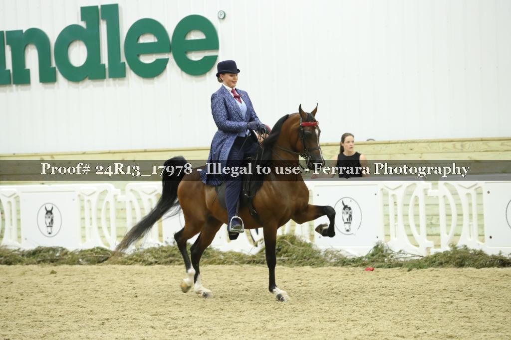 Proof 24R13_17978