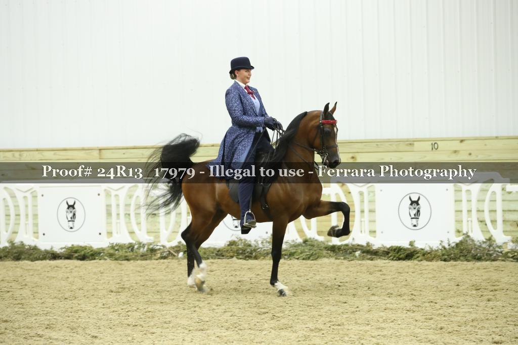 Proof 24R13_17979