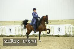 24R13_17979 proof