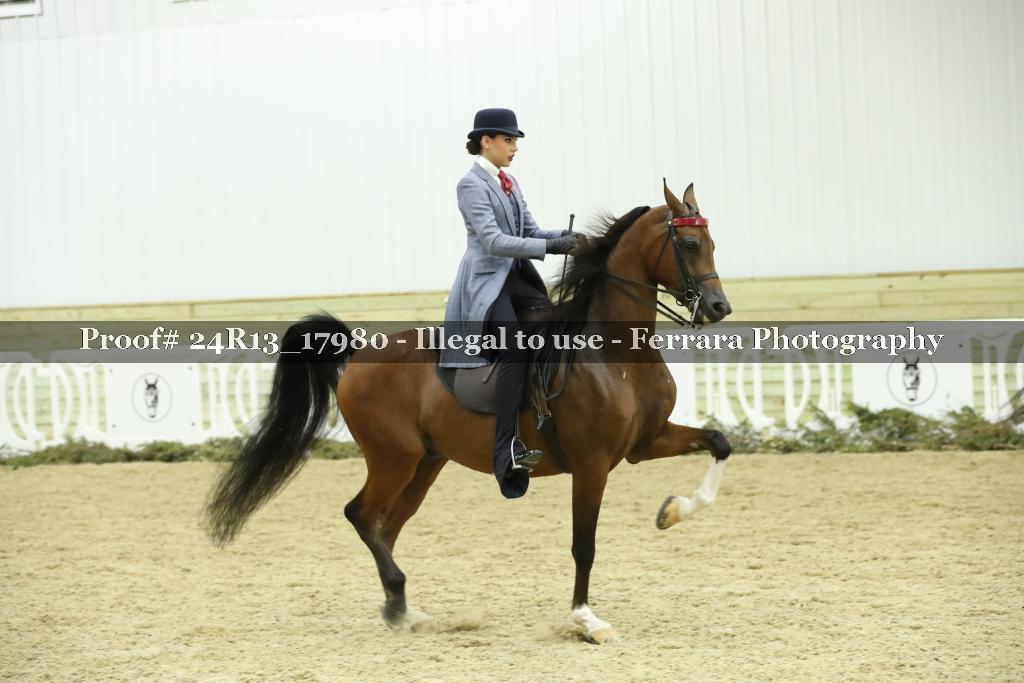 Proof 24R13_17980