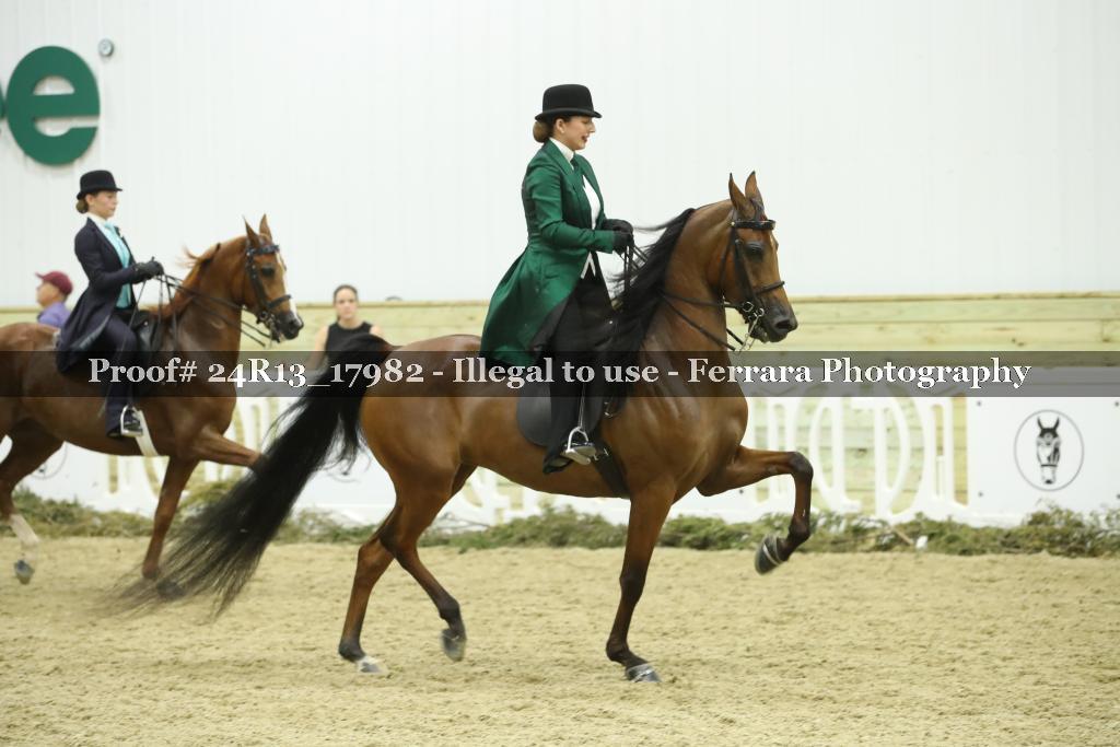Proof 24R13_17982