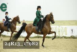 24R13_17982 proof