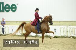 24R13_17984 proof