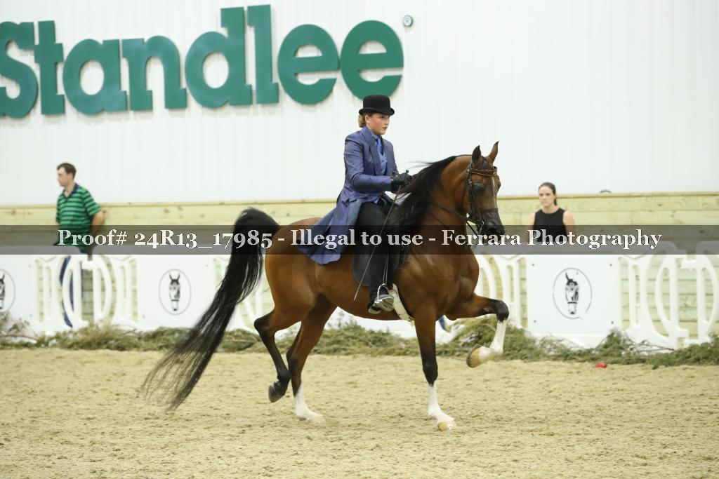 Proof 24R13_17985