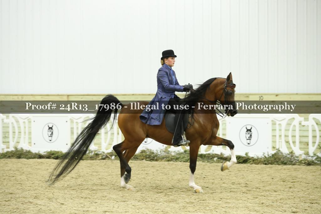Proof 24R13_17986