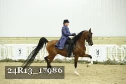 24R13_17986 proof